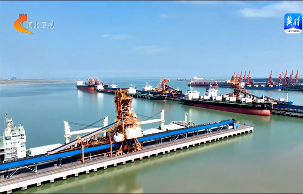 省政协委员围绕建设临港产业强省建言献策